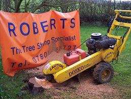 Roberts, The Tree Stump Specialist's Photo