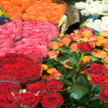 Mainstreet Flower Market's Photo